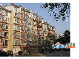 徐州泉山美墅 徐州泉山美墅