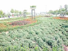 保定植物園