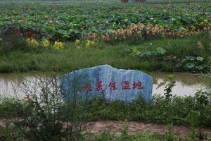 雅美佳濕地公園 雅美佳濕地公園