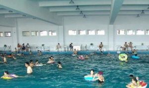 曉月苑游泳館 曉月苑游泳館