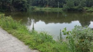 官沖水庫 官沖水庫