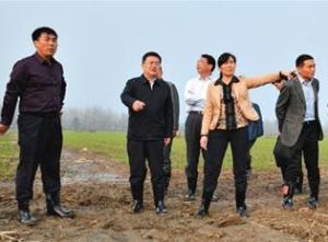 縣委書記帶隊調研農村公路建設