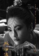 沙門空海之大唐鬼宴[陳凱歌執導電影]