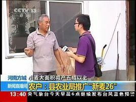 方城縣小麥減產事件 方城縣小麥減產事件
