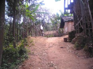 下東帽自然村 下東帽自然村