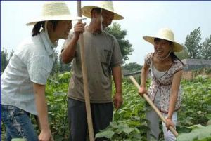 （圖）大學生村官