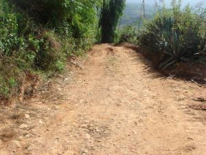 丙傘坡村 丙傘坡村