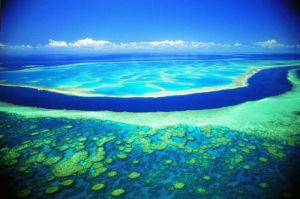 世上最大最長的珊瑚群