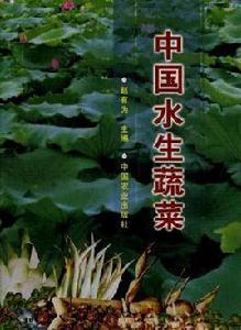 中國水生蔬菜 中國水生蔬菜