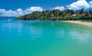 白日夢島 白日夢島