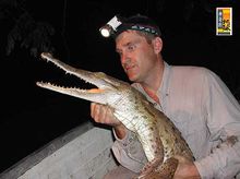 布萊迪&middot;巴爾