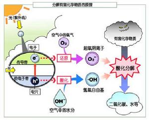 光觸媒分解原理圖