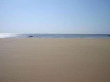 魯南海濱國家森林公園