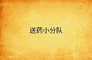 送藥小分隊 送藥小分隊