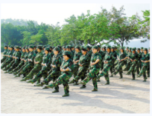 暴力軍訓 暴力軍訓