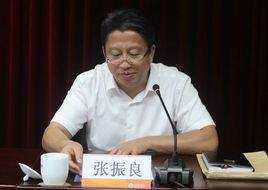 張振良[國資委副巡視員]