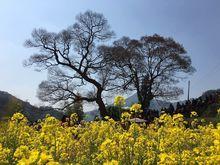 邵家村[浙江省建德市乾潭鎮邵家村]