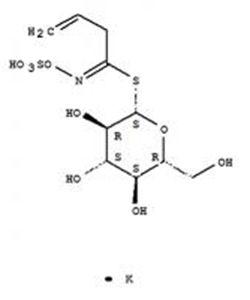 黑芥子硫苷酸
