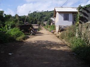 新南盆村 新南盆村