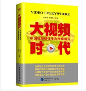 《大視頻時代》