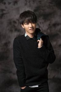 華晨宇[中國男歌手]