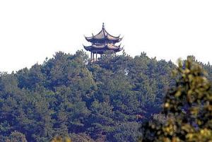 上海小刀會起義地點