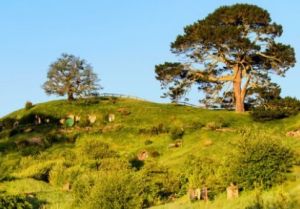 瑪塔瑪塔鎮 瑪塔瑪塔鎮