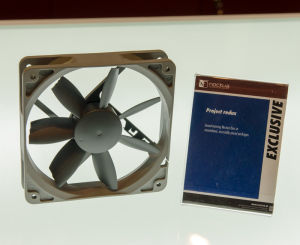noctua