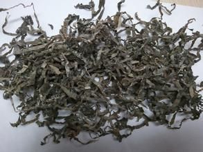 海帶乾絲 海帶乾絲