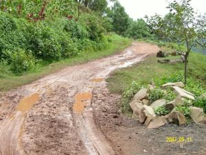 大坡嶺子村 大坡嶺子村