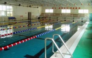 特佳游泳館 特佳游泳館