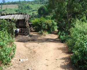 老杜自然村 老杜自然村