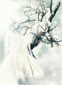 白玉堂[古典名著三俠五義中的人物]