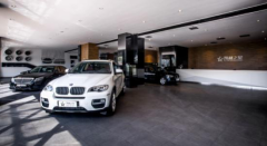 凱利之星 凱利之星