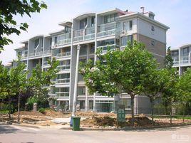 澳龍花園 澳龍花園