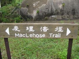 麥理浩徑 麥理浩徑