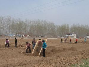 孟興莊鎮 孟興莊鎮