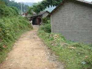 老龍塘自然村 老龍塘自然村