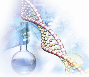 基因轉移生物 基因轉移生物