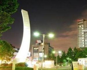 中央學院大學 中央學院大學