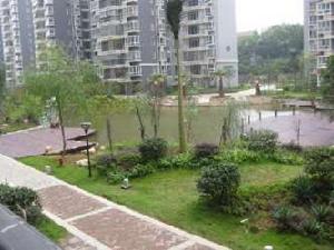 三城花苑 三城花苑