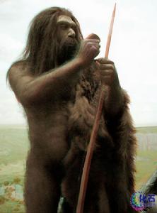 尼安德特人化石