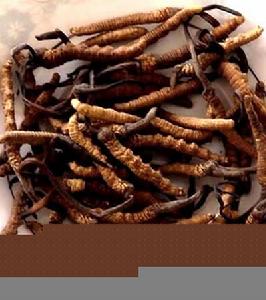 《急救仙方》 《急救仙方》