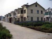 聯盟村[四川省瀘州市合江縣佛蔭鎮聯盟村]