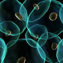 上海阿拉丁生化科技股份有限公司