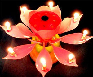 音樂蠟燭 音樂蠟燭