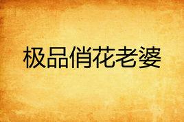 極品俏花老婆 極品俏花老婆