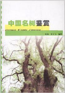 中國名樹鑑賞 中國名樹鑑賞