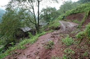 和尚箐村 和尚箐村