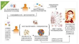 神經修復細胞療法